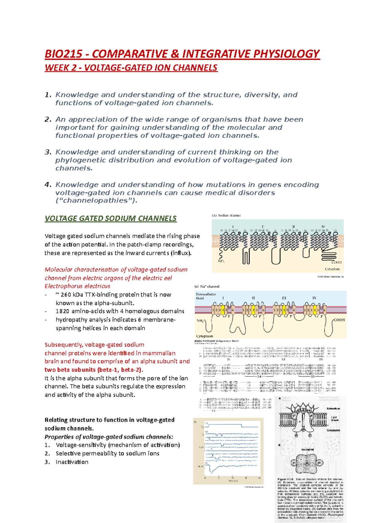 BIO215 Week 2 - VOLTAGE-GATED ION CHANNELS - BIO215 - COMPARATIVE ...