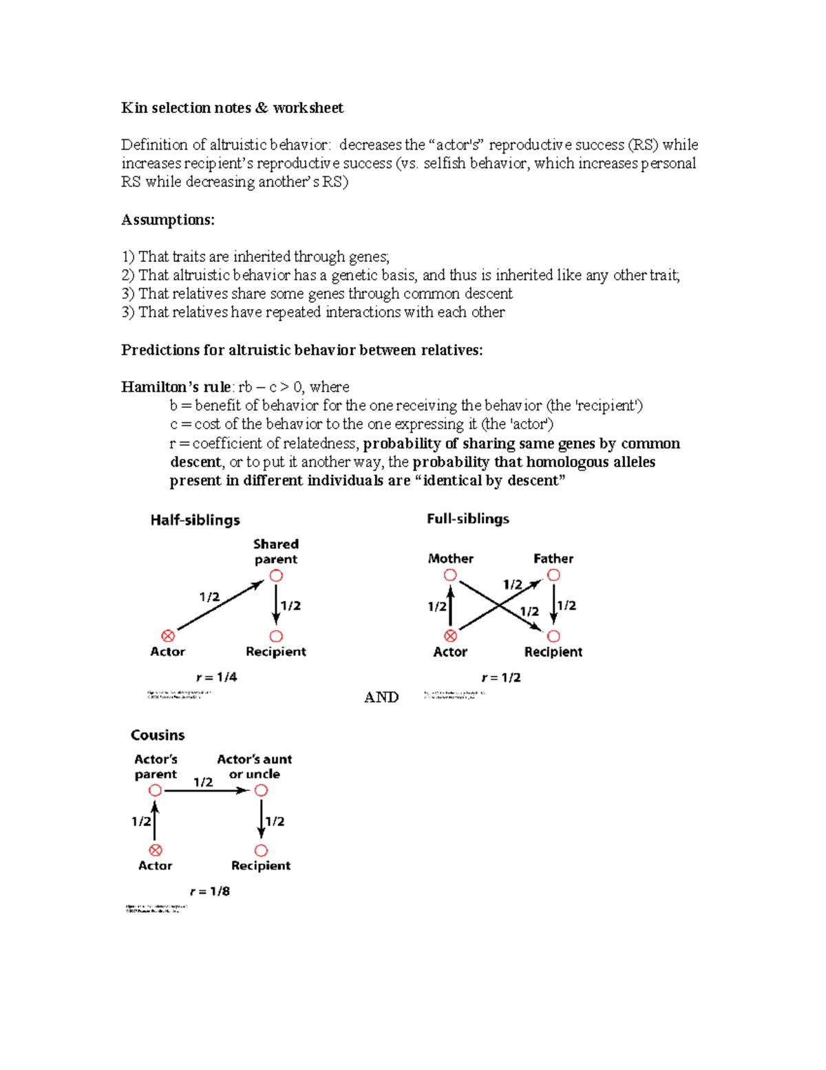 L34 Apr10 kinselectionworksheet - Kin selection notes & worksheet ...