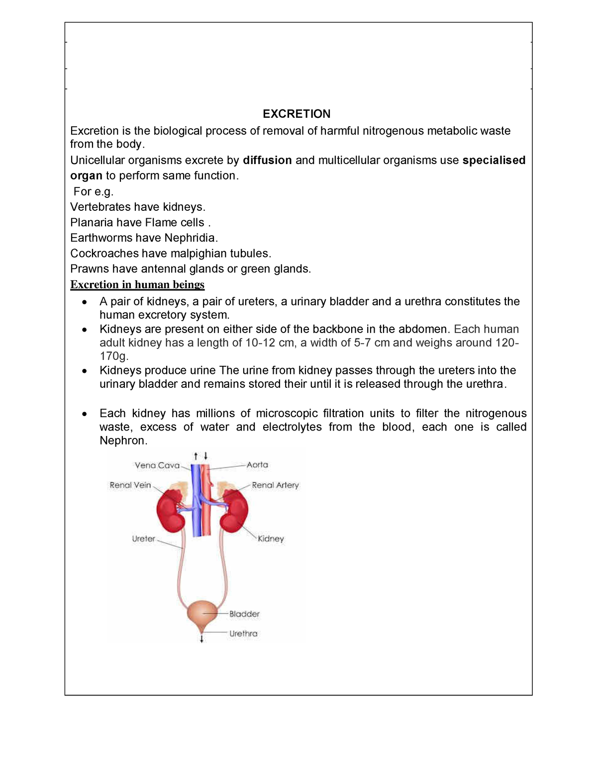 Biology Note For Excretion Class Notes Class X Subject Biology My Xxx