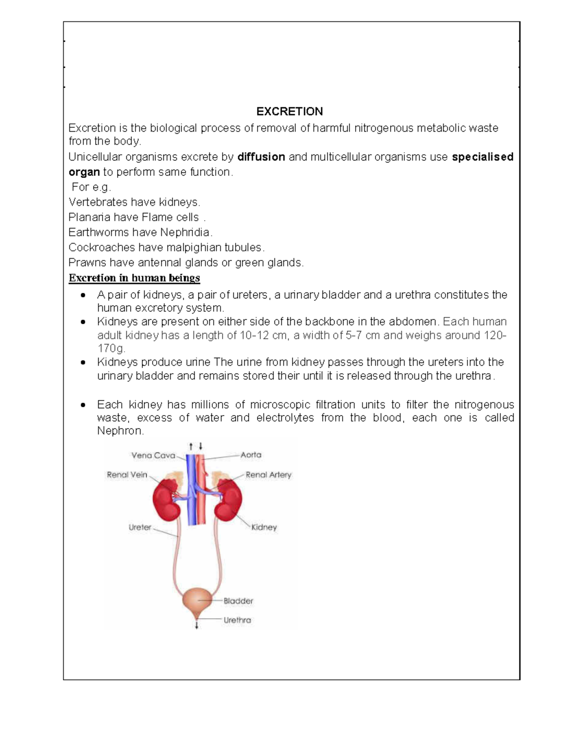 Biology Note For Excretion Class Notes Class X Subject Biology My Xxx