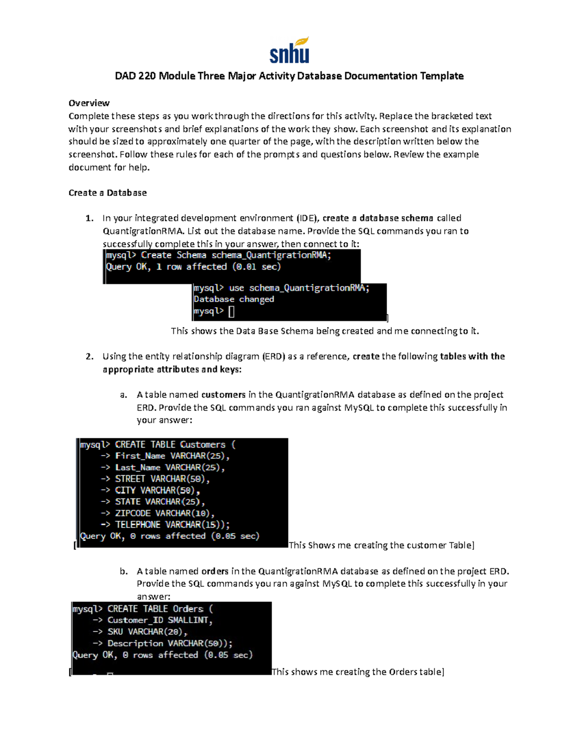 DAD 220 Module Three Major Activity Database Documentation Template ...