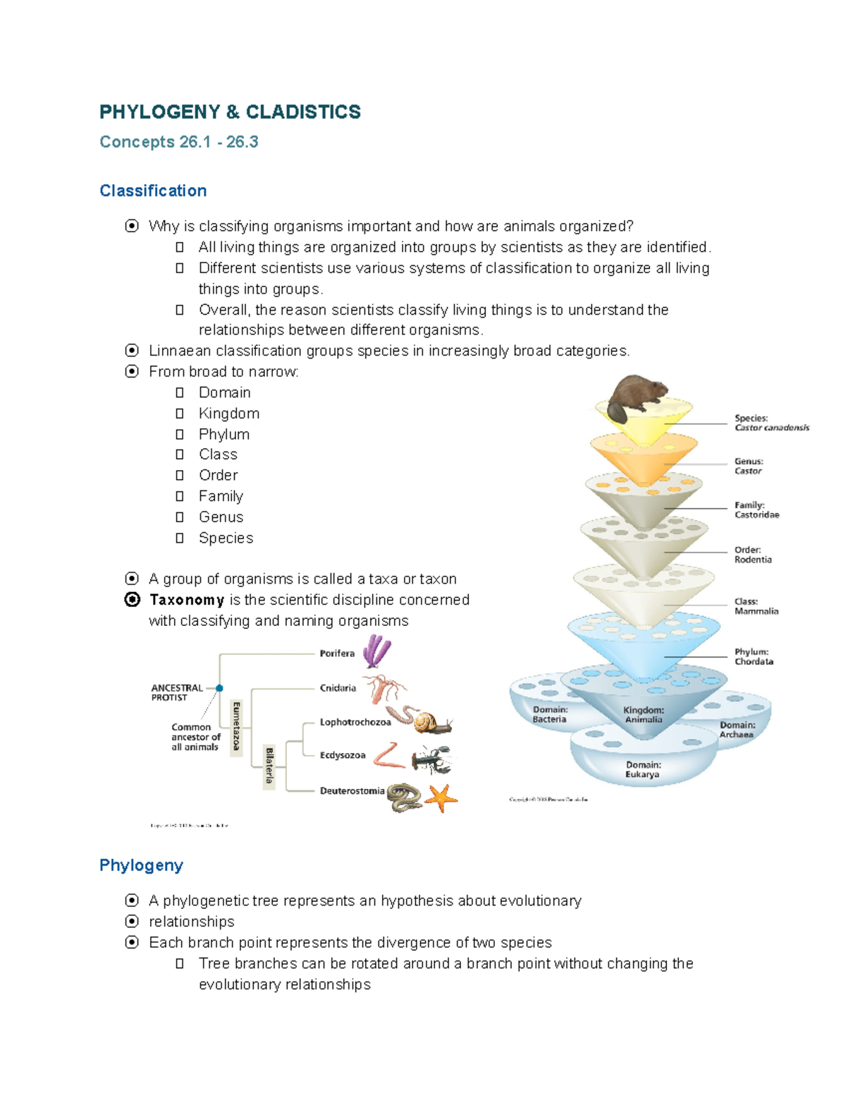 1 - Phylogeny & Cladistics - PHYLOGENY & CLADISTICS Concepts 26 - 26 ...