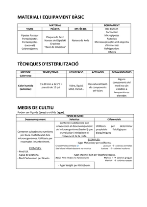 TEMA 6 - Reordenamineto DEL GEN DE LAS Inmunoglobulinas - TEMA 6 ...