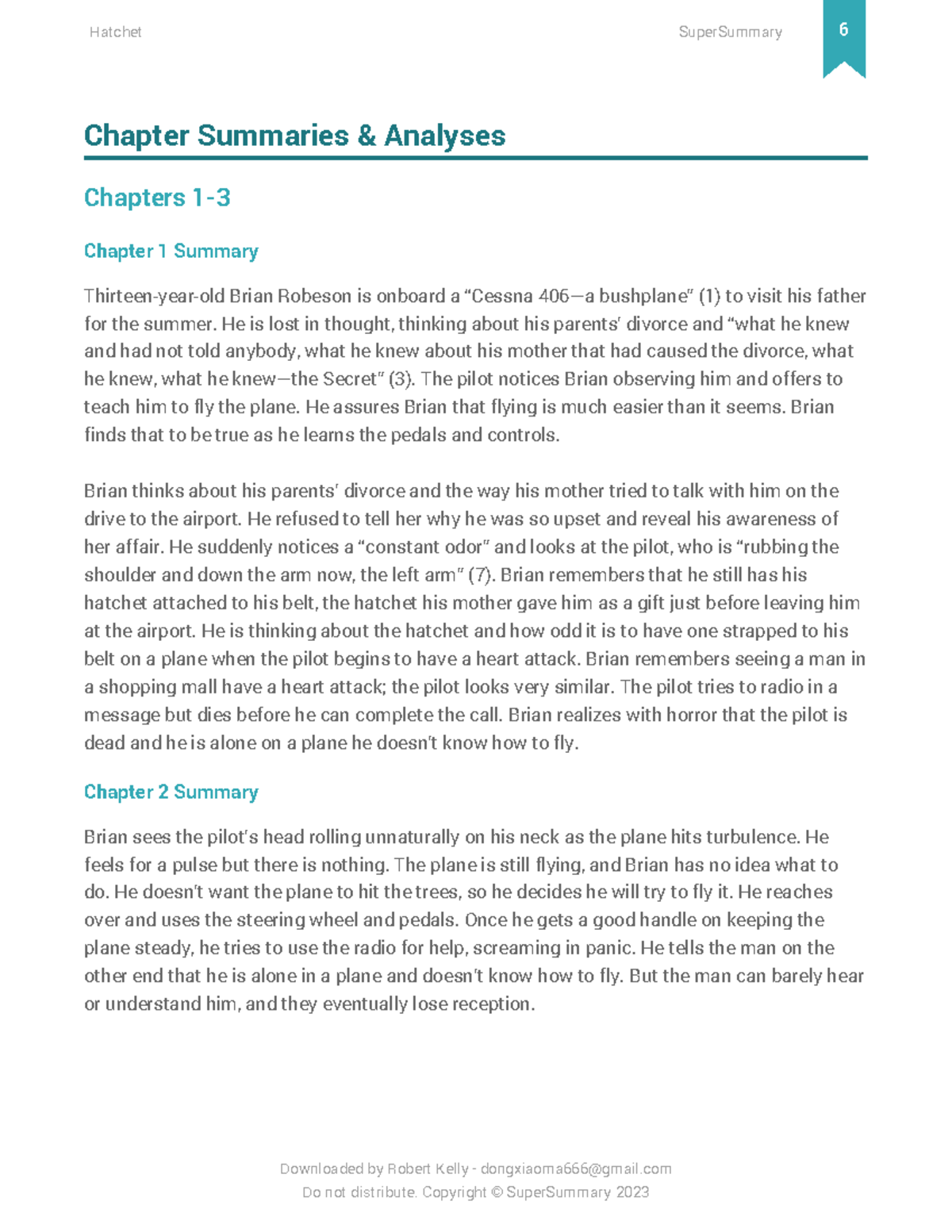 Hatchet - Super Summary Study Guide 7 - Chapter Summaries & Analyses ...