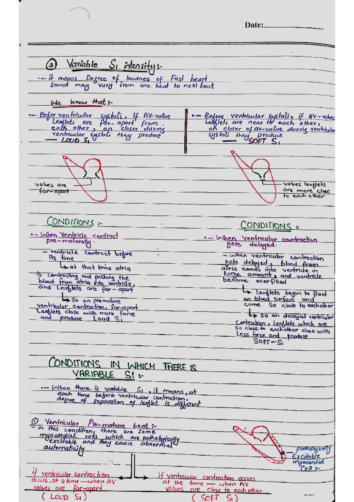 1st heart sound part3 - Physiology - Studocu