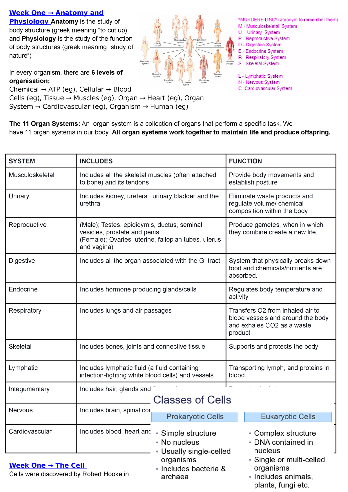 Human Bioscience Semester ONE - Week One → Anatomy and Physiology ...