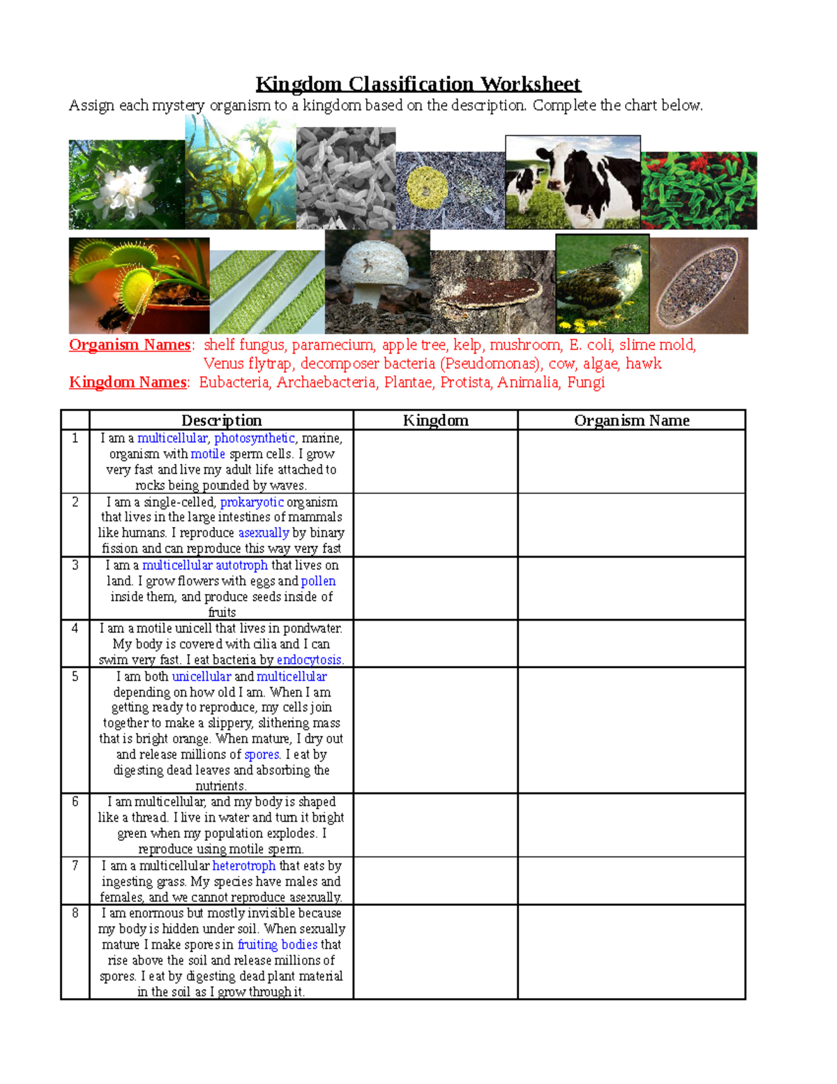 Copy Of Copy Of Kingdom Classification Worksheet Kingdom