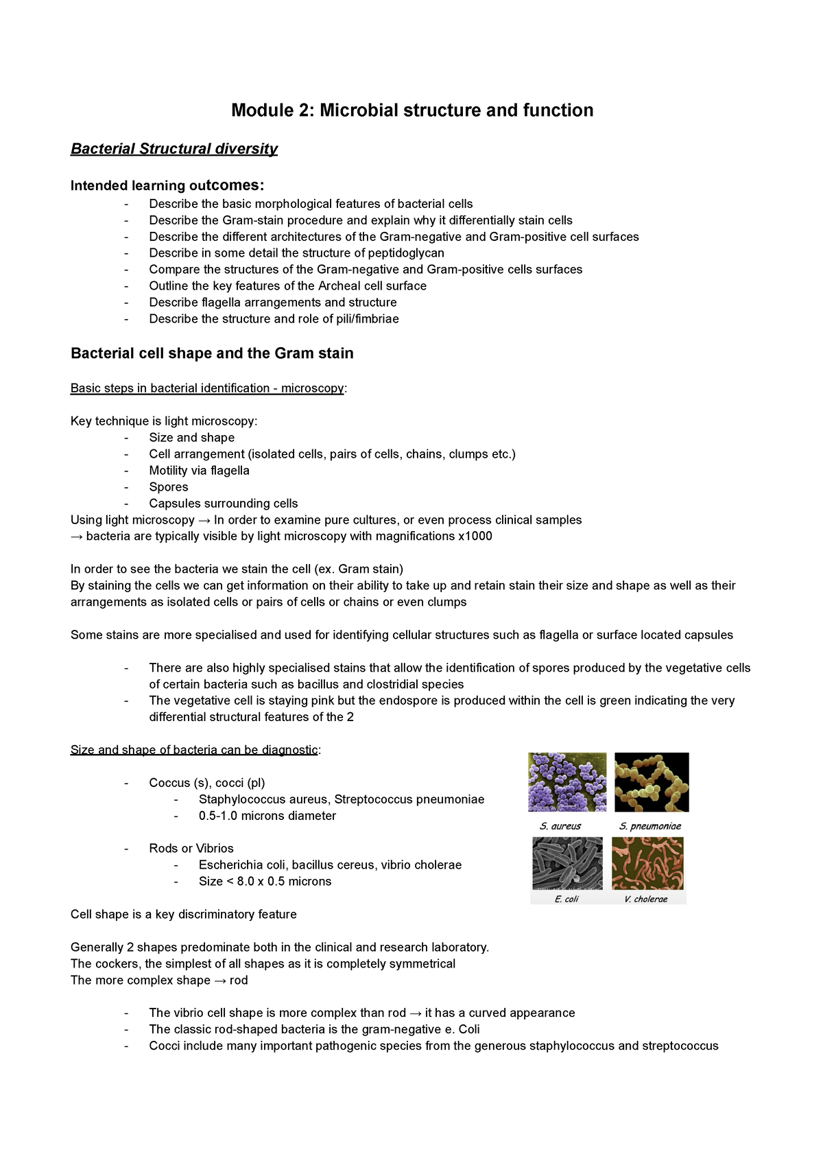 Module 2 Lecture Notes - Module 2: Microbial Structure And Function ...