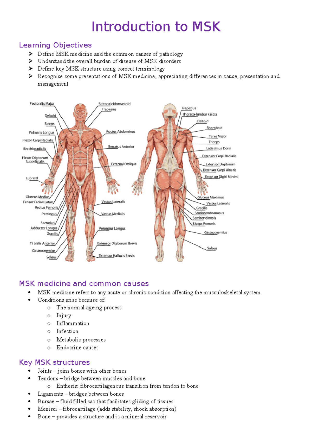 Introduction to MSK - Medicine Notes - Introduction to MSK Learning ...