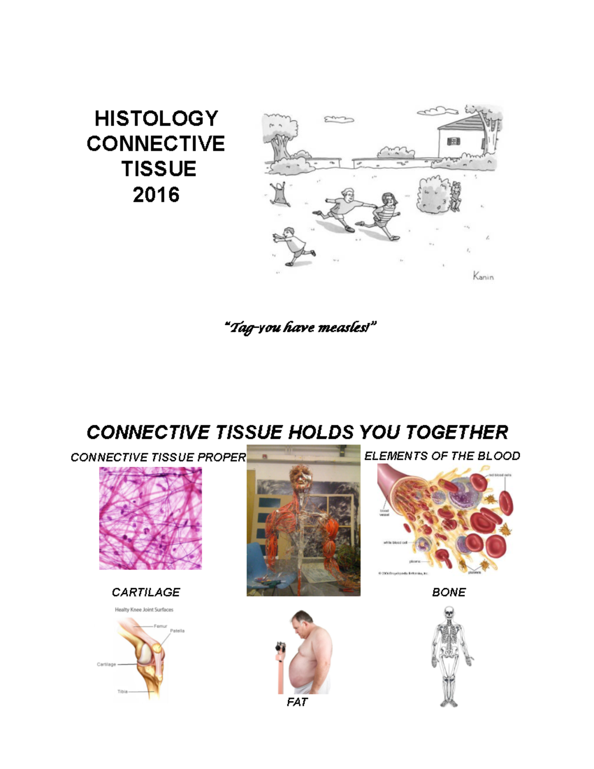 Connective tissue lecture notes - HISTOLOGY CONNECTIVE TISSUE 2016 Tag ...