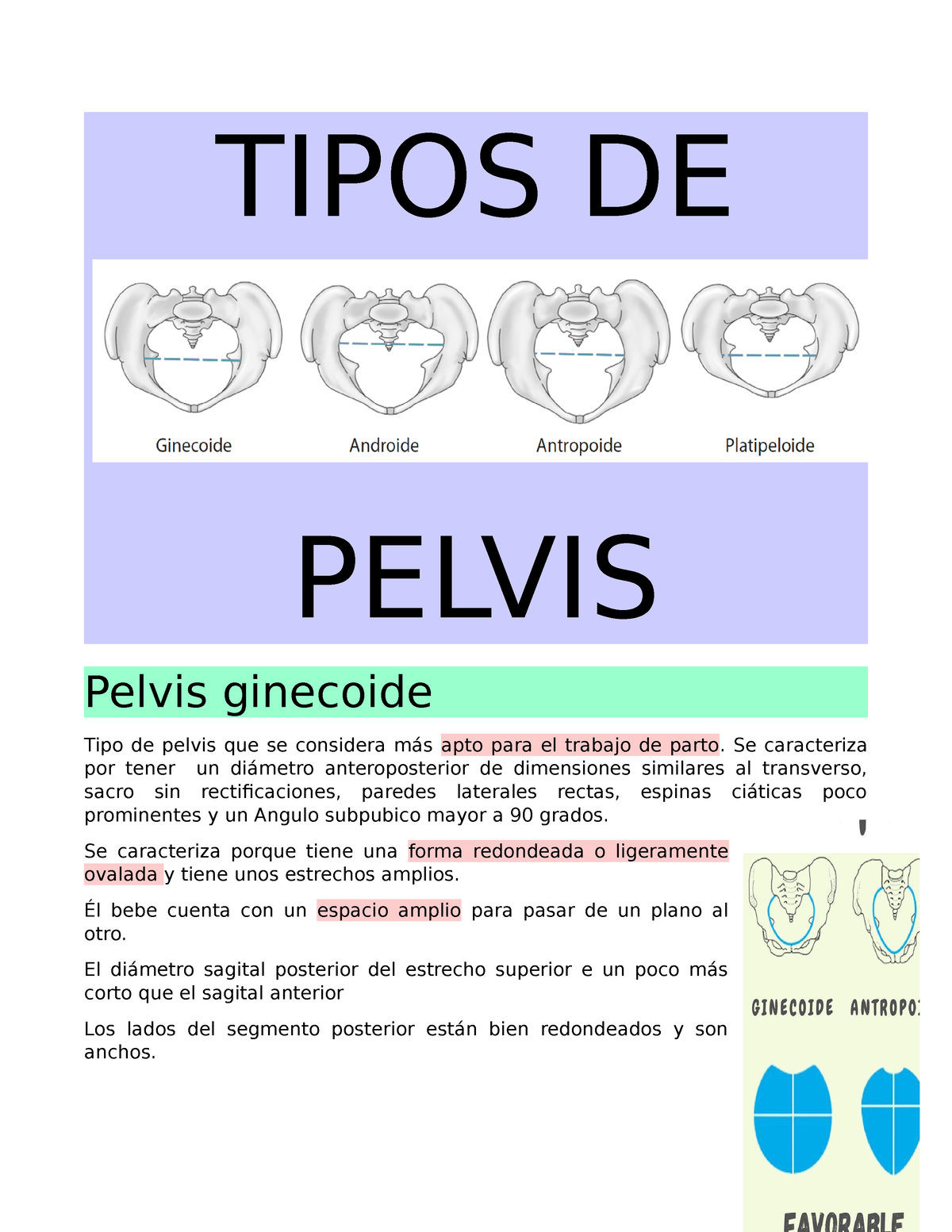 tipos de pelvis