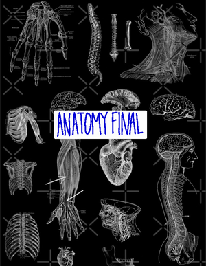 Chapter 17 Nose, Mouth, And Throat - Nose, Mouth, And Throat Chapter 16 ...