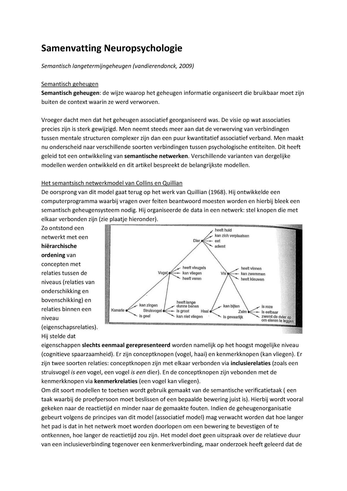 Samenvatting Neuropsychologie Vandierendock Warning Tt Undefined Function 32 Warning Tt 