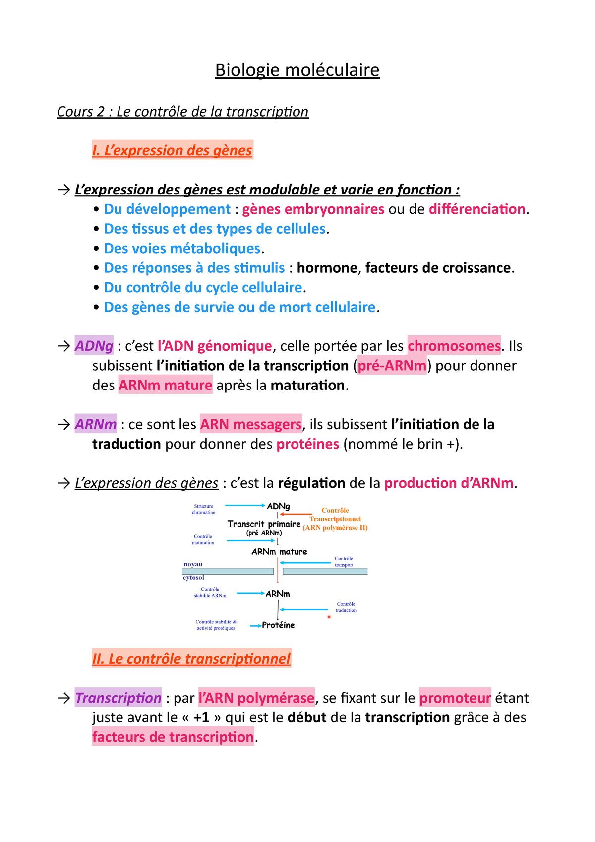 Contrôle de la transcription – Biologie cellulaire et génétique du  Développement