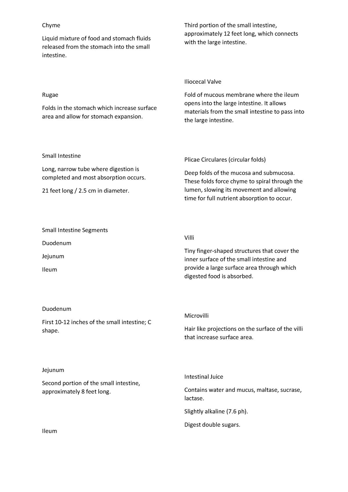 Digestive System - notes - Chyme Liquid mixture of food and stomach ...