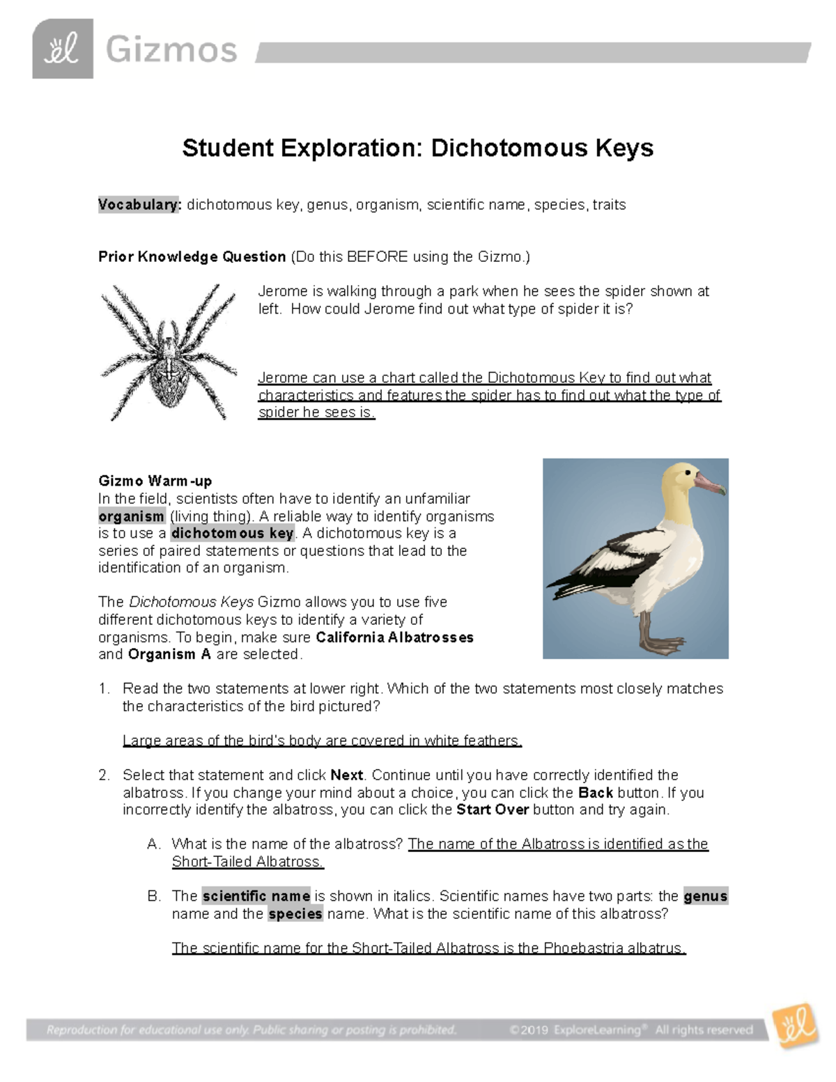 Dichotomous Keys SE - Answers - Student Exploration: Dichotomous Keys ...