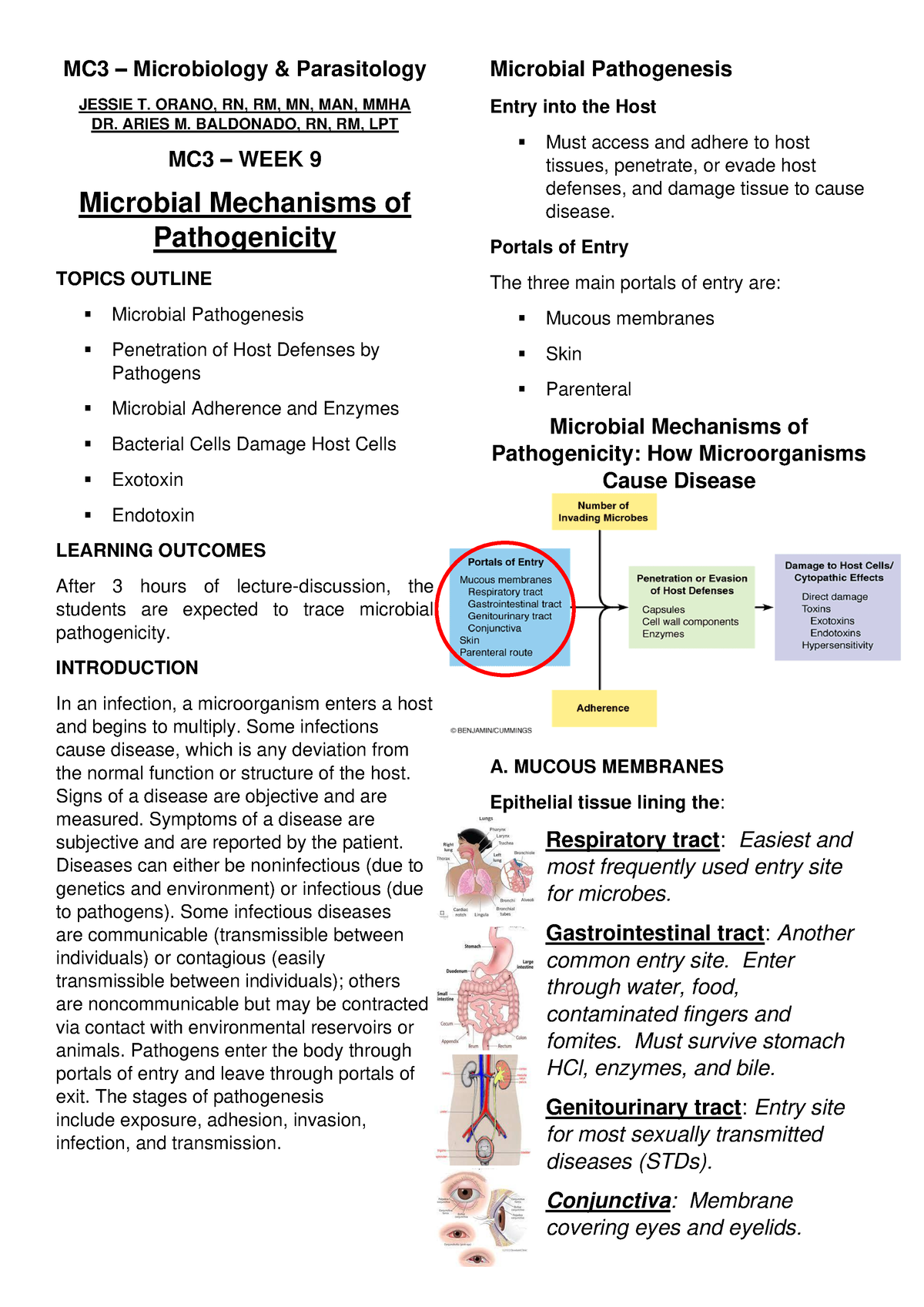 examples of microbial application in nursing