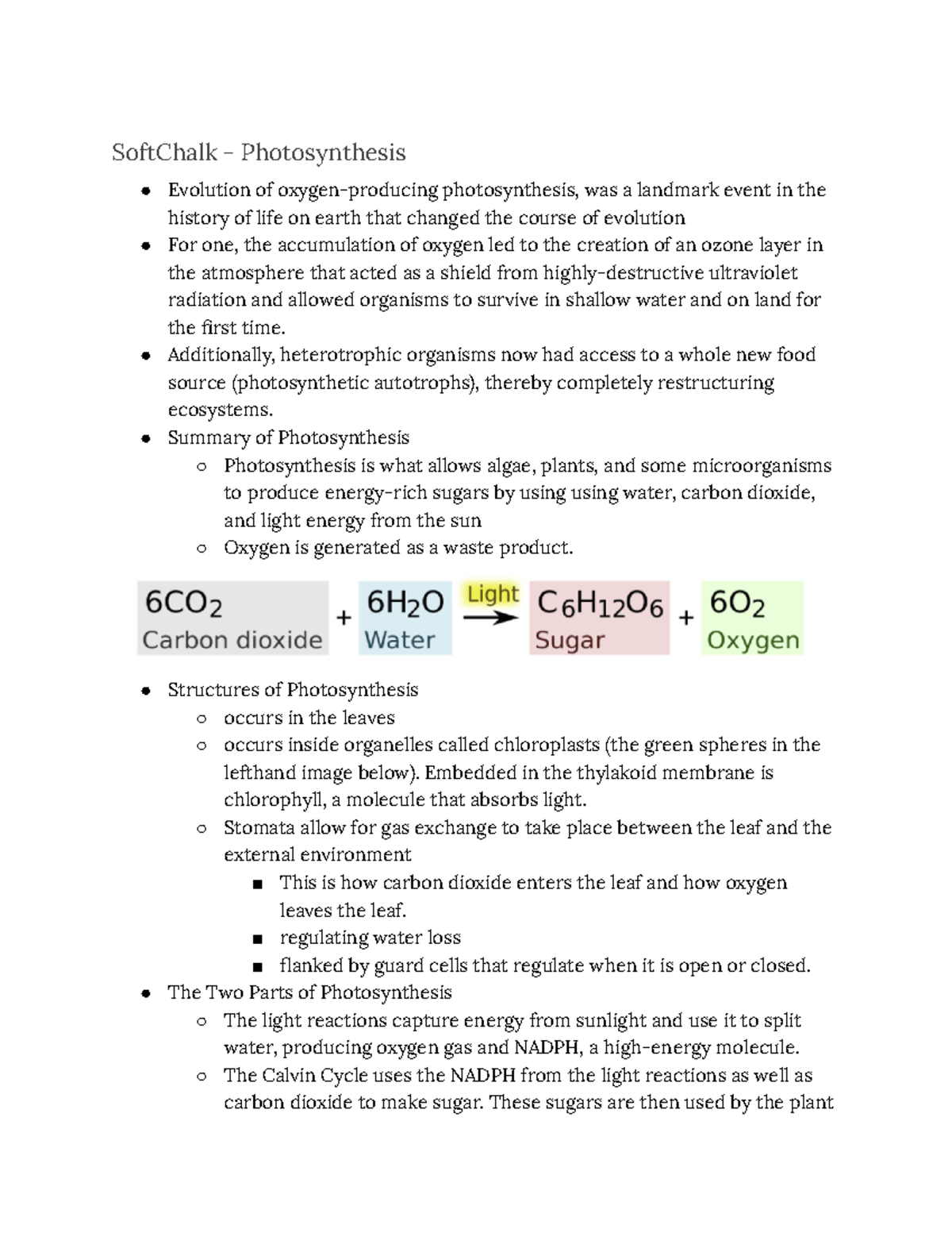 Week 2.2 Photosynthesis SoftChalk Photosynthesis Evolution of