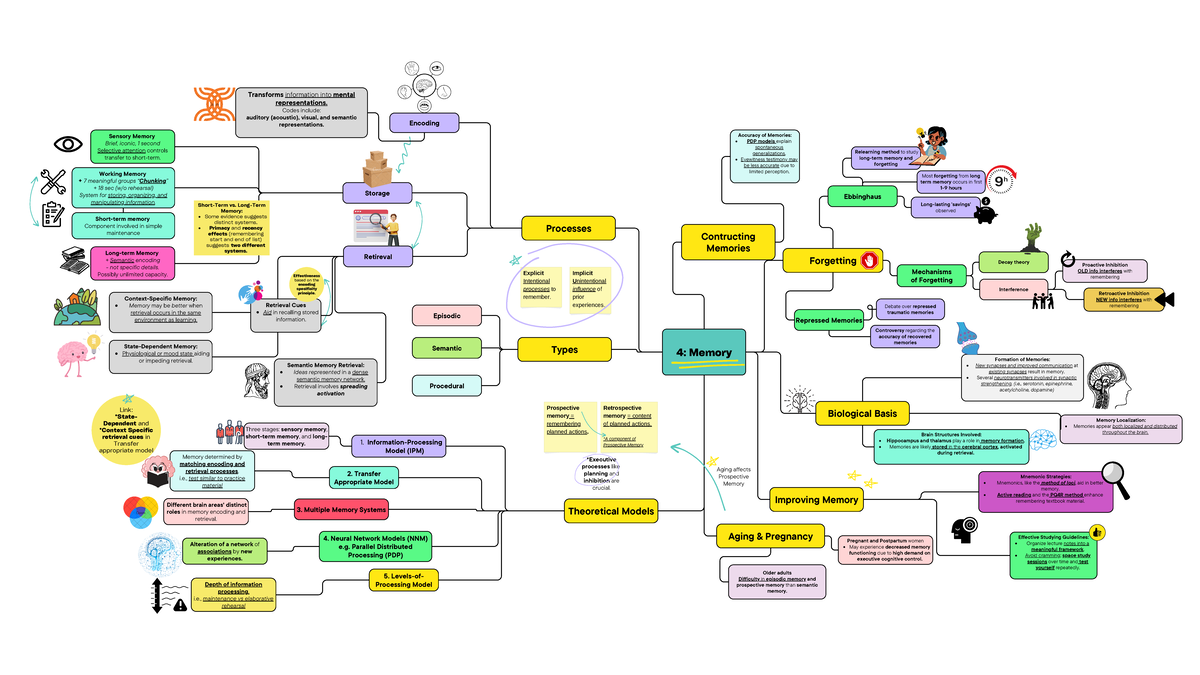 Week 3 Memory - Summary Fundamentals of Psychology - Encoding Accuracy ...