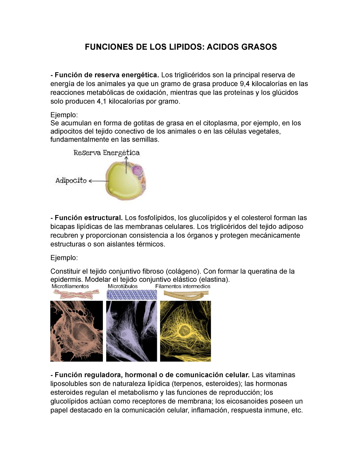 Funciones De Los Lipidos Funciones De Los Lipidos Acidos Grasos Función De Reserva Energética 3518