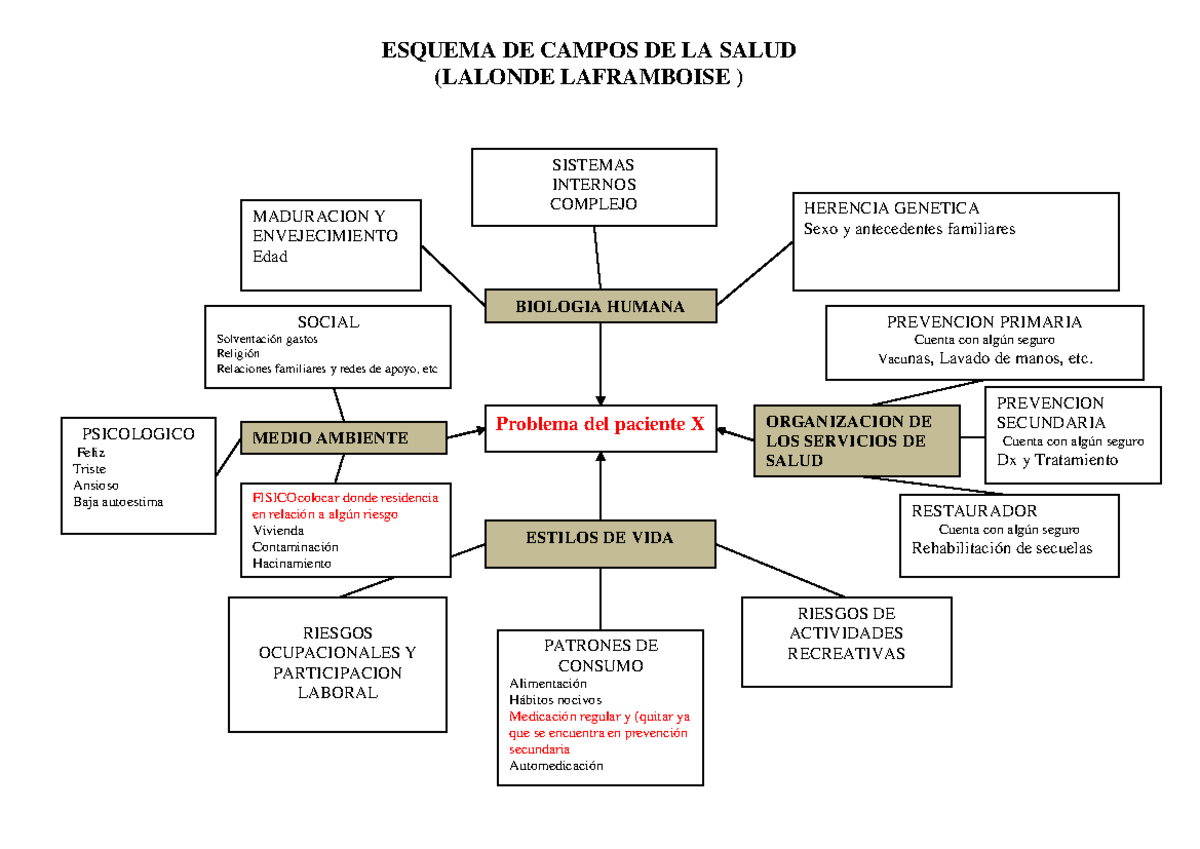 Esquema DE Lalonde explicacion - (LALONDE LAFRAMBOISE ) Problema del  paciente X BIOLOGIA HUMANA - Studocu