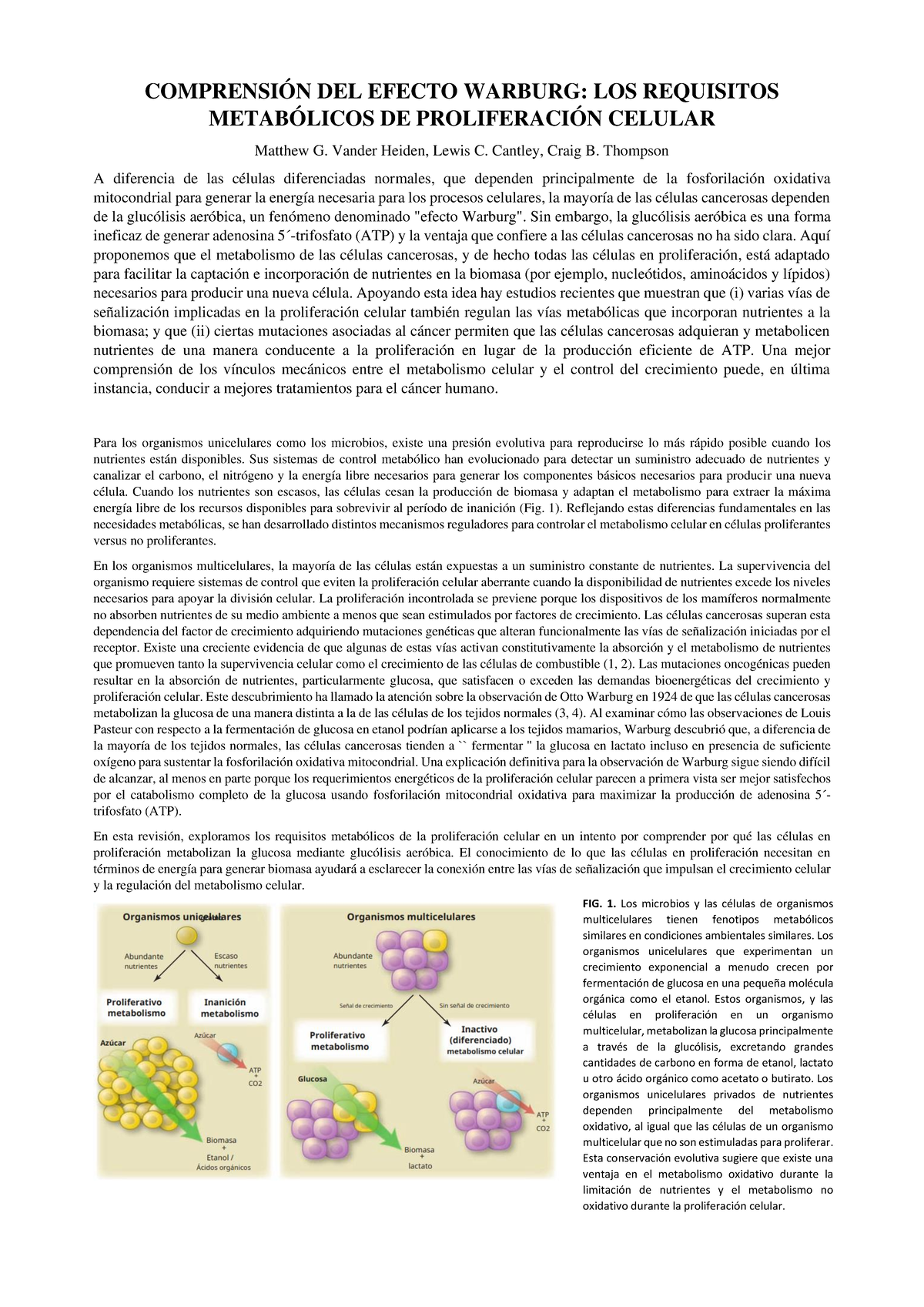 Efecto Warburg Resumen para seminario COMPRENSIÓN DEL EFECTO