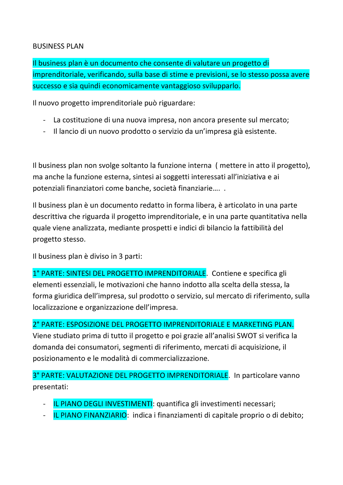 business plan riassunto pdf