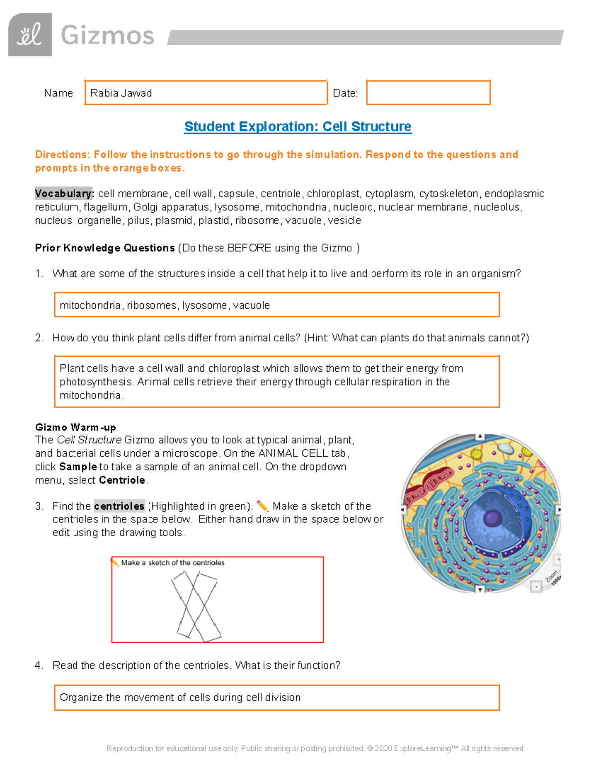 Cell Structure SE - gizmo - Name: Rabia Jawad Date: Student Exploration ...