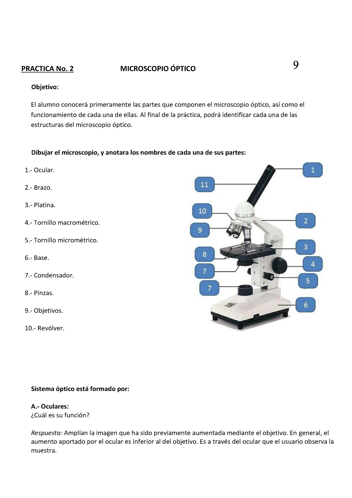 El Microscopio Ptico Reporte Practica No Microscopio Ptico