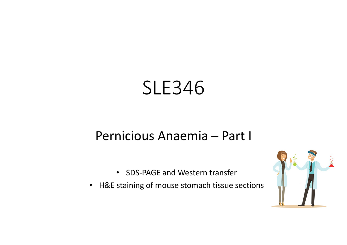 Pernicious Anaemia Prac Pre-lab 2021 NEW - SLE Pernicious Anaemia –Part ...