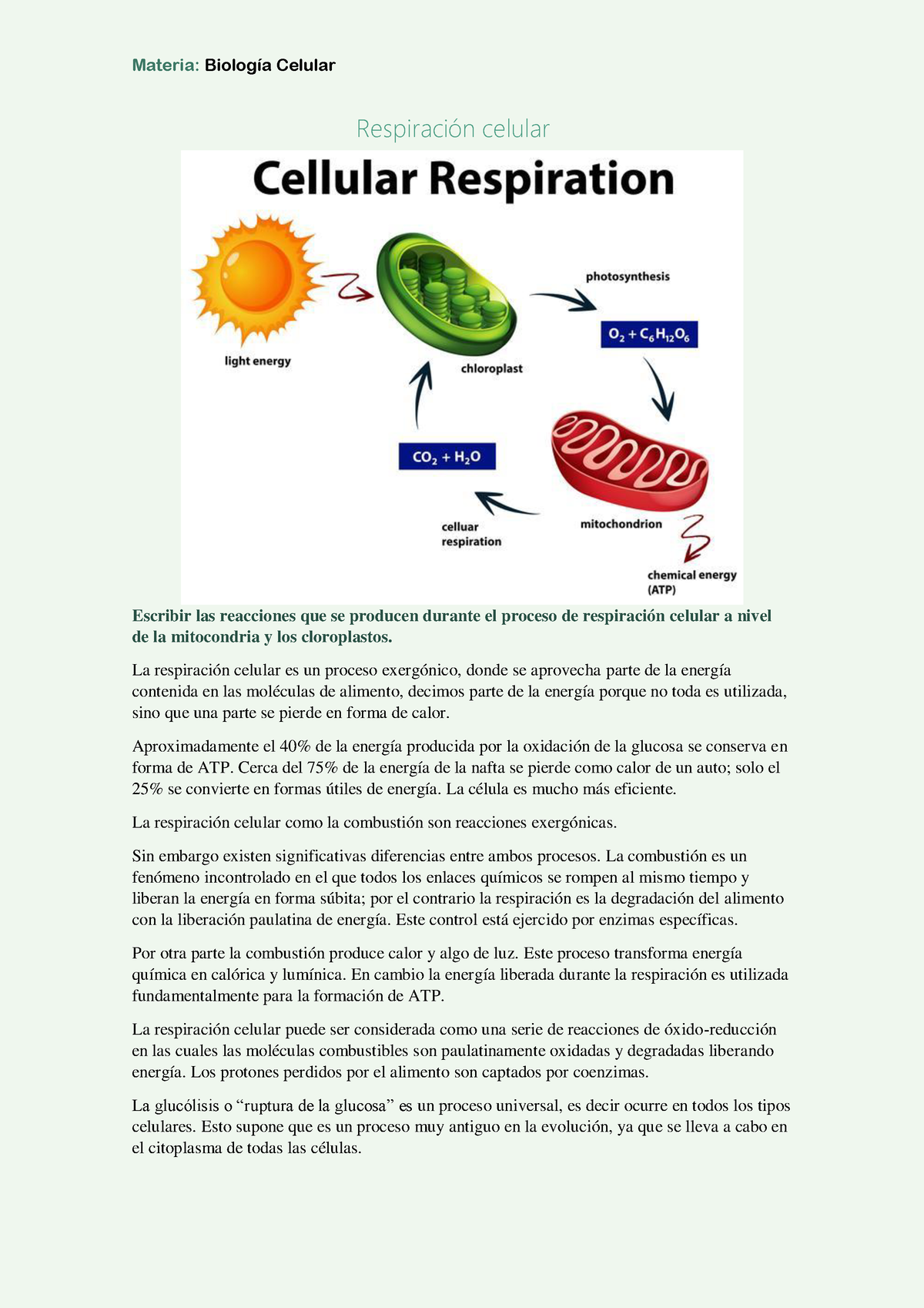 Biología Celular- Respiración Celular- Biologia 1 - Materia: Biología ...