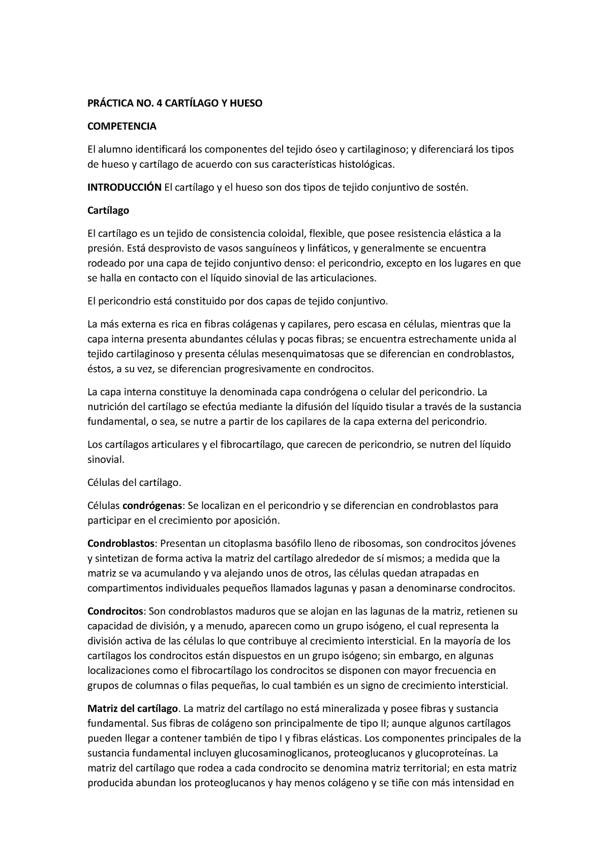 Práctica NO 4 Cartílago Y Hueso - PRÁCTICA NO. 4 CARTÍLAGO Y HUESO ...