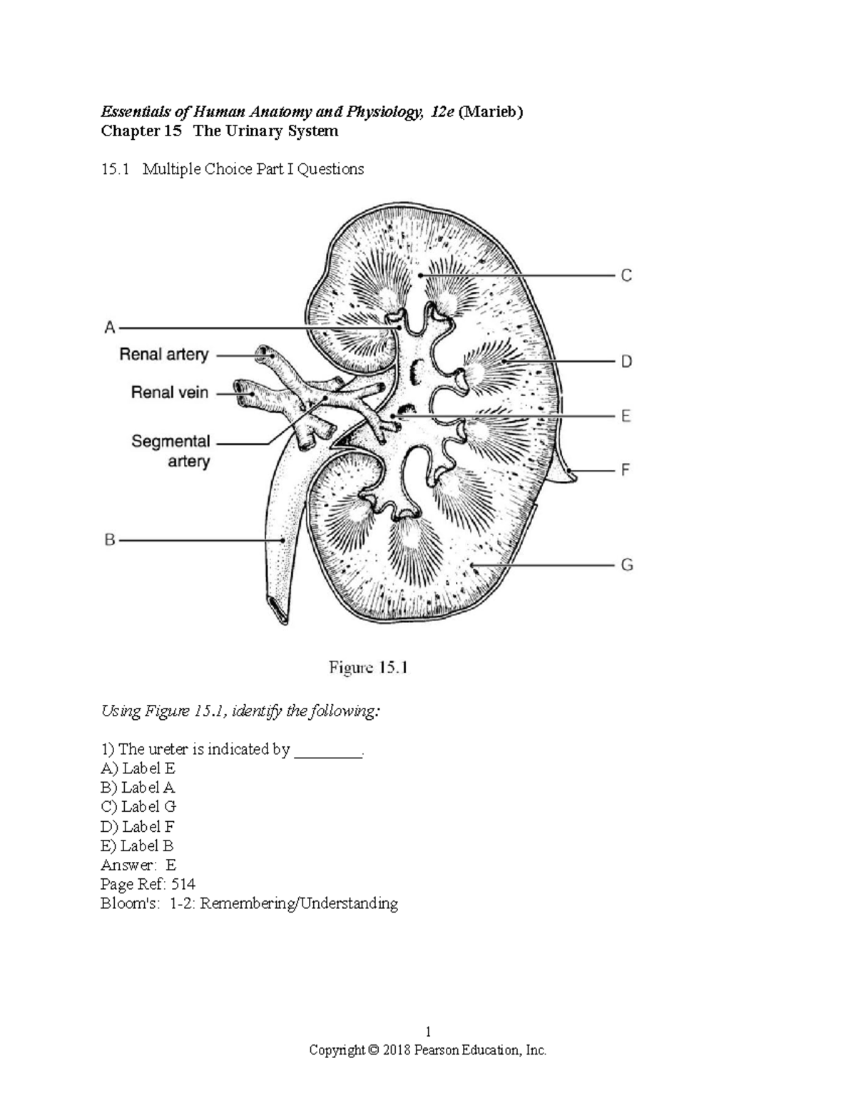 Chapter 15 - With The Twelfth Edition Of Essentials Of Human Anatomy ...