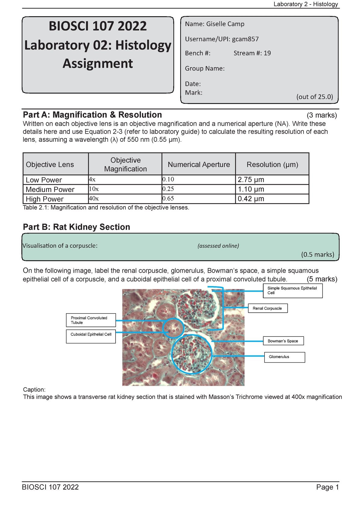 histology lab assignment