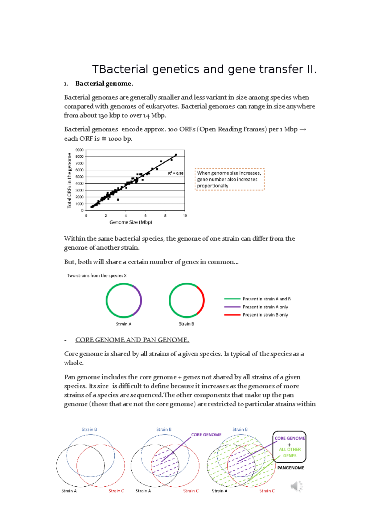 4. Bacterial genetics & gene transfer 2. - TBacterial genetics and gene ...