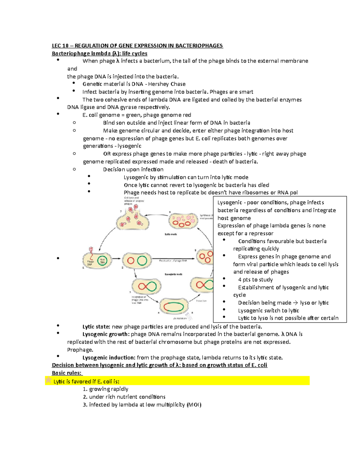 Topic 10 Reulation OF GENE Expression IN Bacteria Lecture notes ...