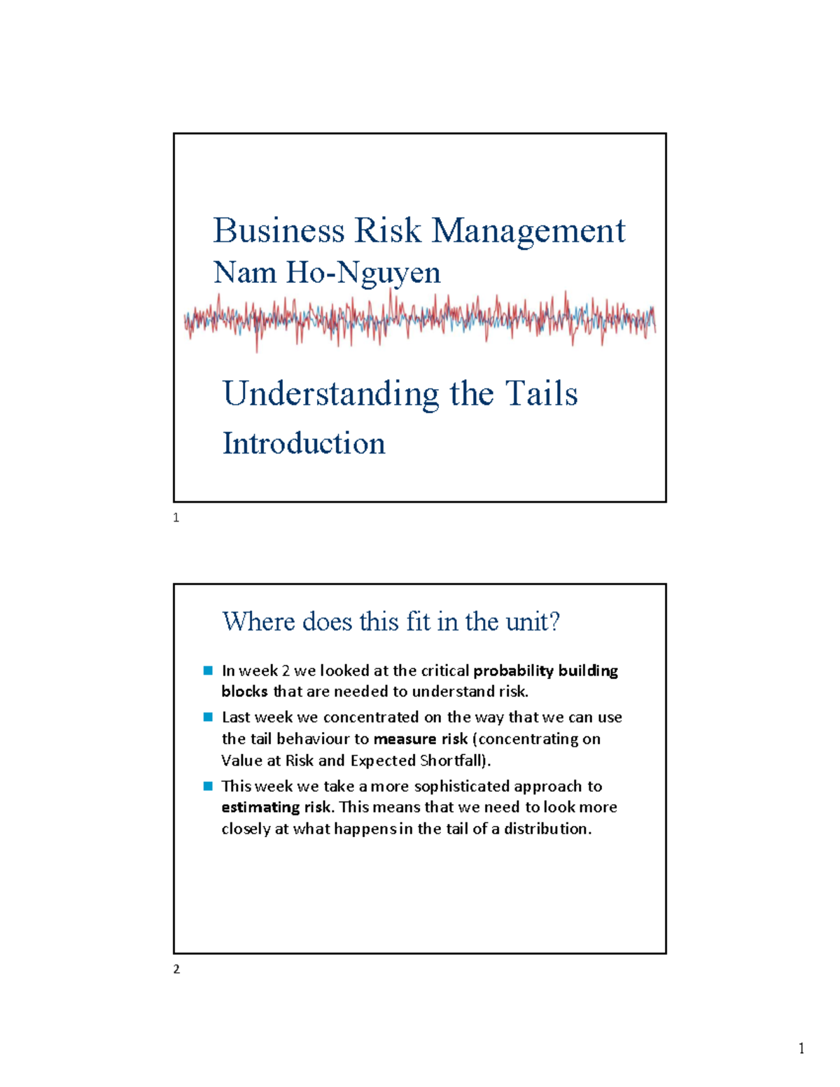 Lecture 4 Understanding the Tails - Business Risk Management Nam Ho-Ngu ...