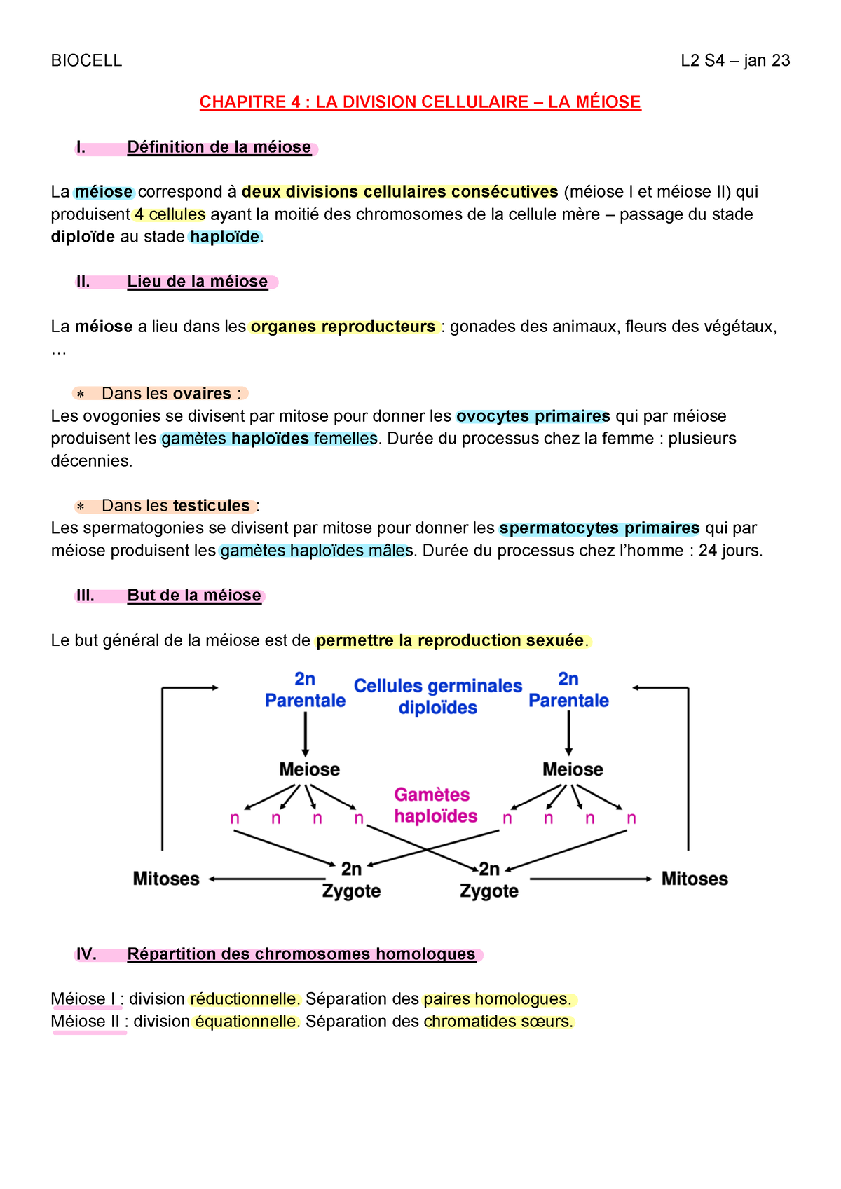 Biocell Chap 4 La Méiose Chapitre 4 La Division Cellulaire La MÉiose I Définition De La 9072