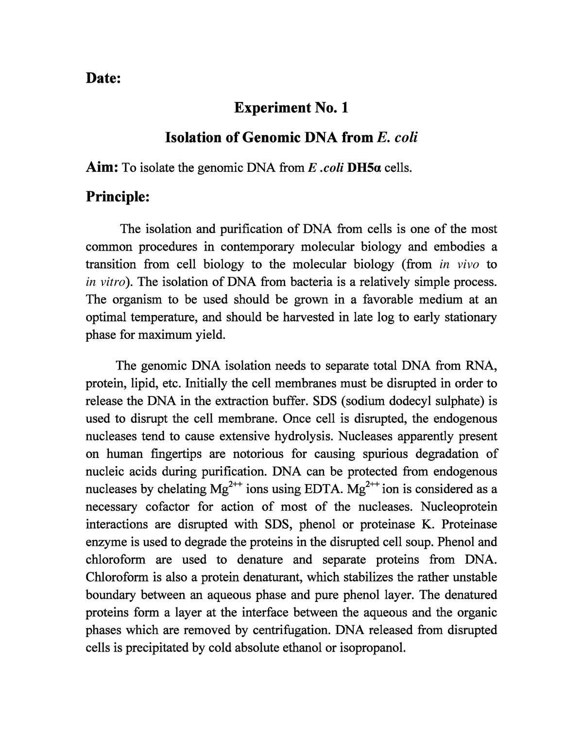 Bacterial DNA Isolation - Business Management - E. Coli E .coli In Vivo ...