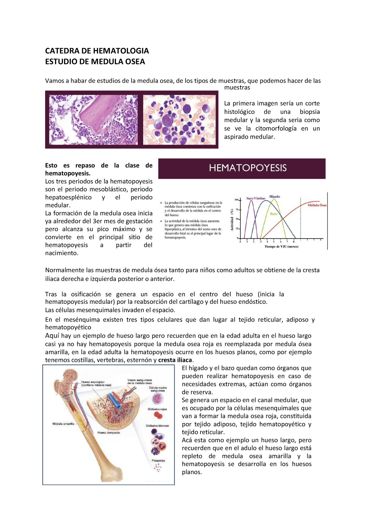 Células espumosas en aspirado de médula ósea en un paciente con