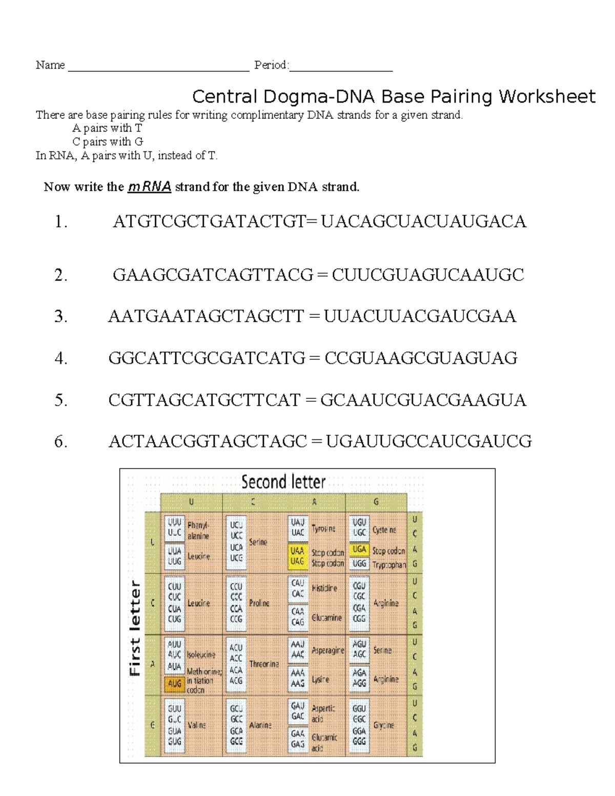 Central DogmaDNA Base Pairing Worksheet 2024a this took me forever Name Studocu