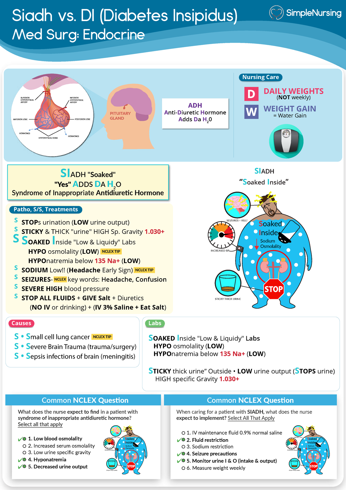 1. Siadh - Siadh vs. DI (Diabetes Insipidus) Med Surg: Endocrine