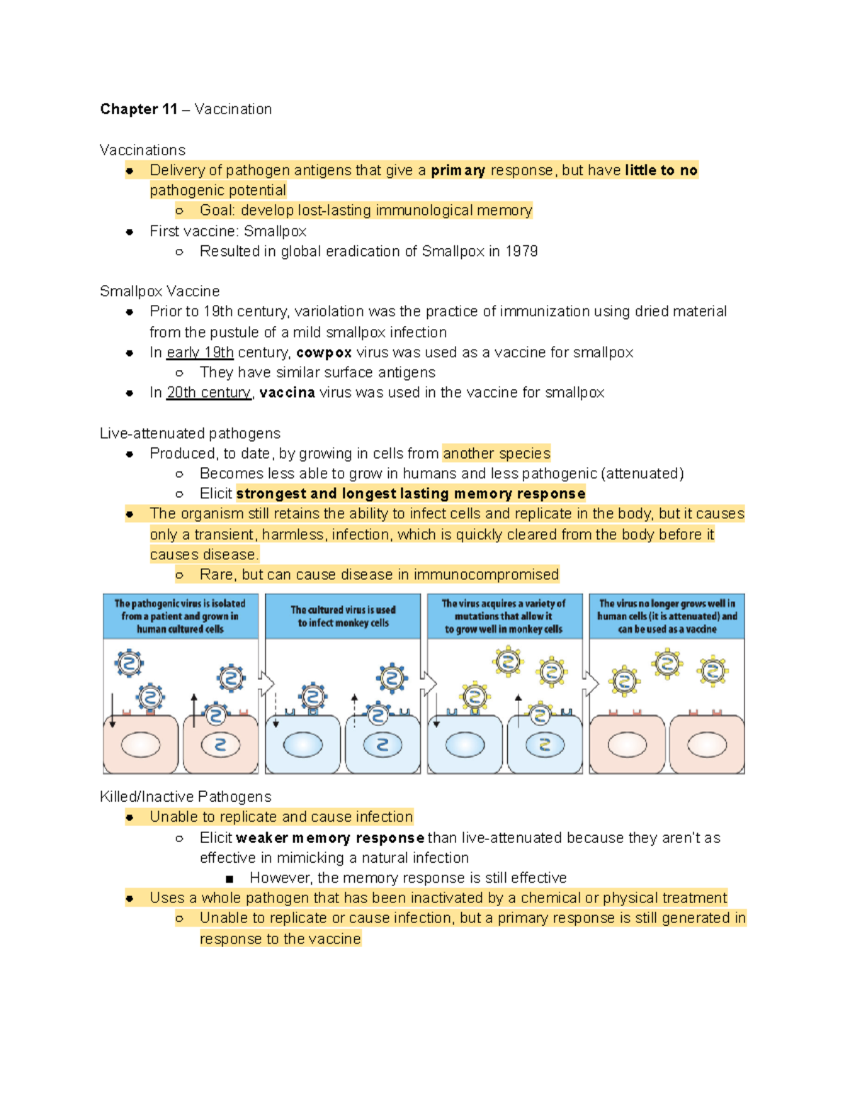 Immunology Exam 3 Notes - Chapter 11 – Vaccination Vaccinations ...