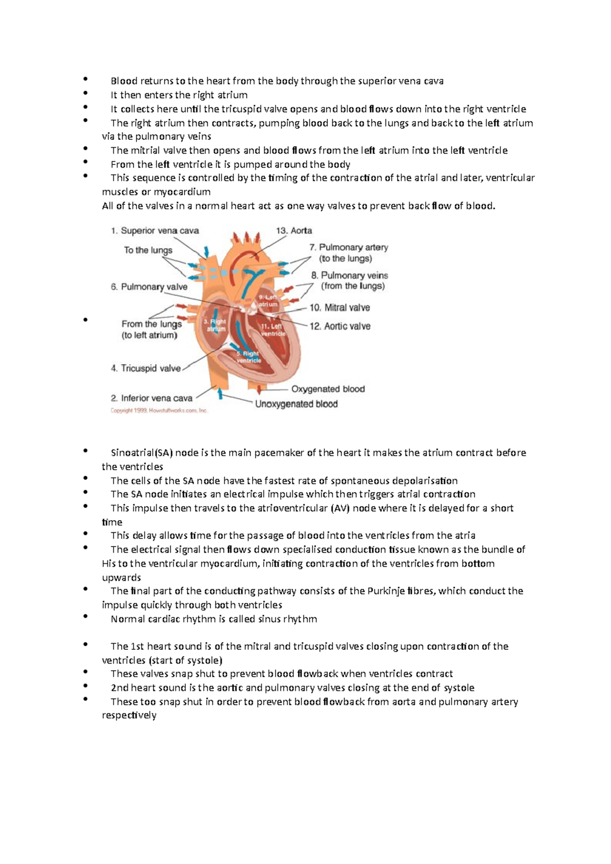 Blood returns to the heart from the body through the superior vena cava ...