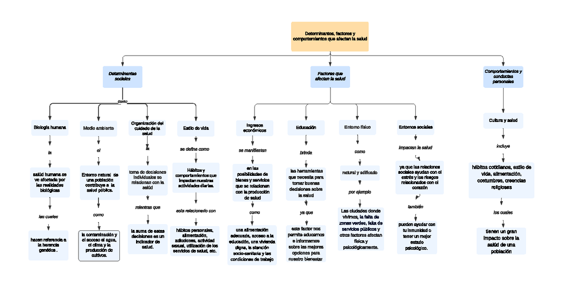 Mapa Conceptual Mapa Conceptual Como Determinantes Factores Y