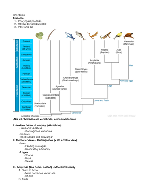 Eukaryotes - Lecture notes 3 - Eukaryotes Goals I. Eukaryotes ...