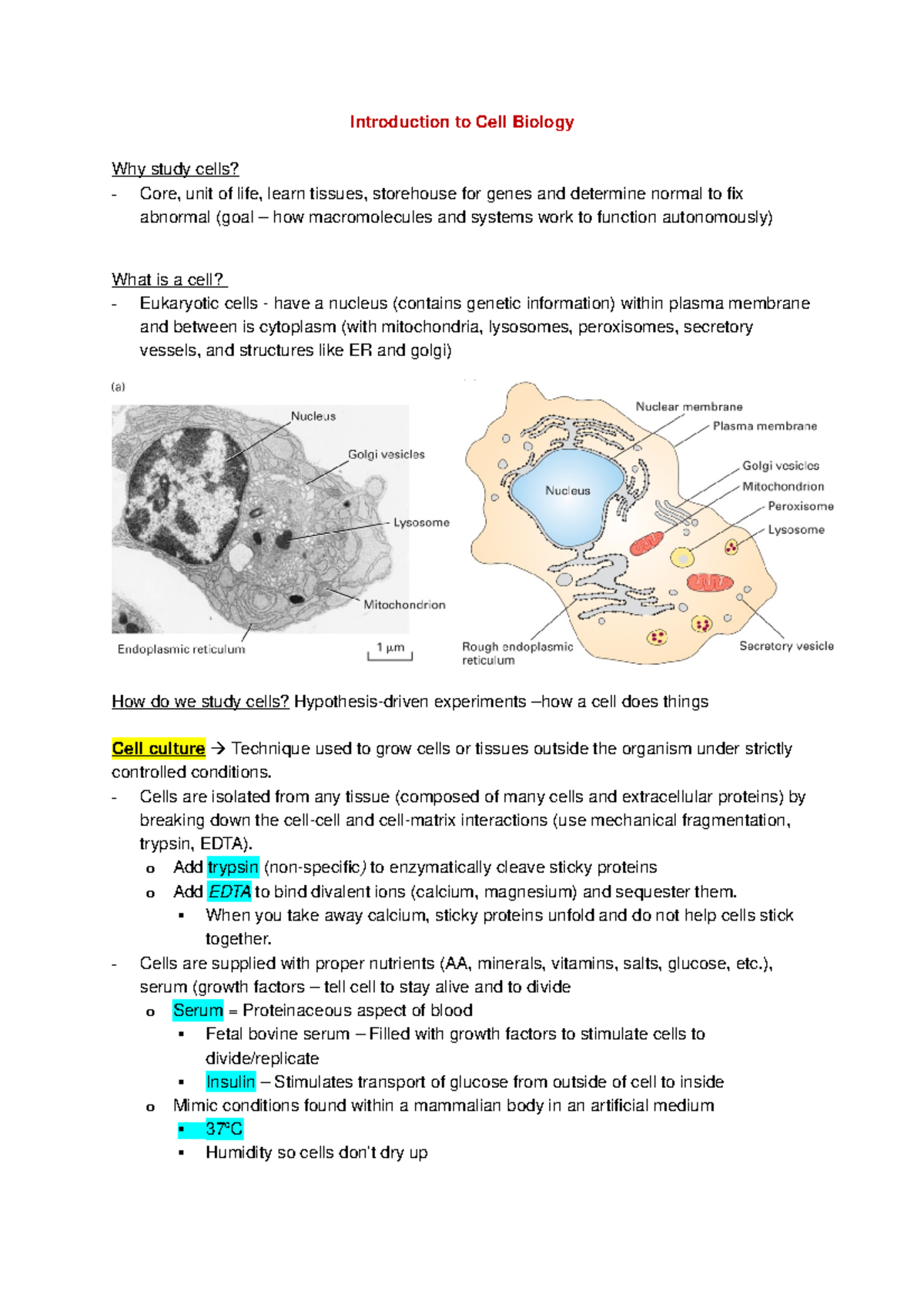 Theme 1 - Cell bio summer - Introduction to Cell Biology Why study ...