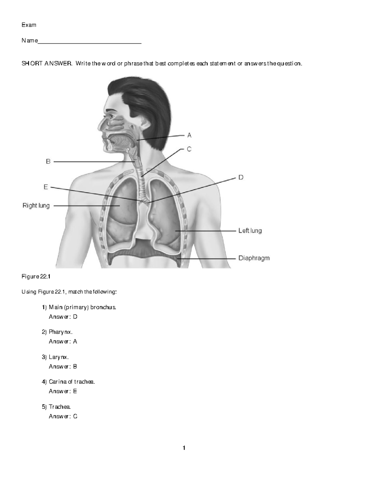 Chapter 22 - Exam Name___________________________________ SHORT ANSWER ...