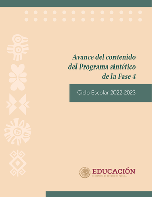 Avance Programa Sintetico Fase 5 - Avance Del Contenido Del Programa ...