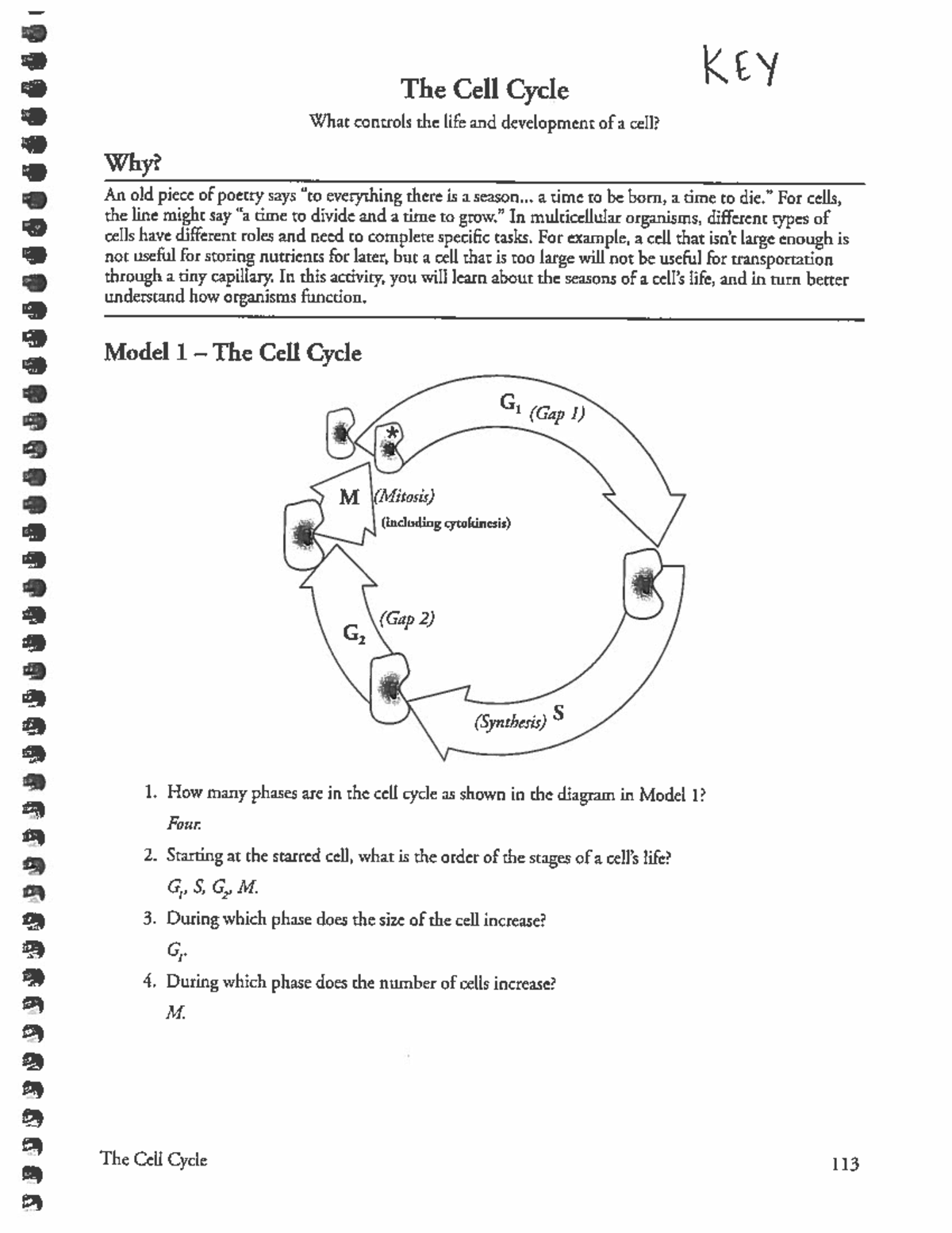 Pogil Cell Cycle Key AP - helpful - Studocu